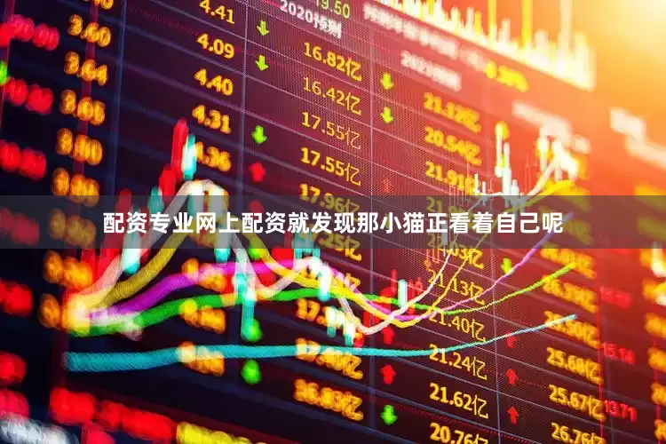 配资专业网上配资就发现那小猫正看着自己呢